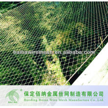 Acero inoxidable hierba protección Mesh China Fabricación